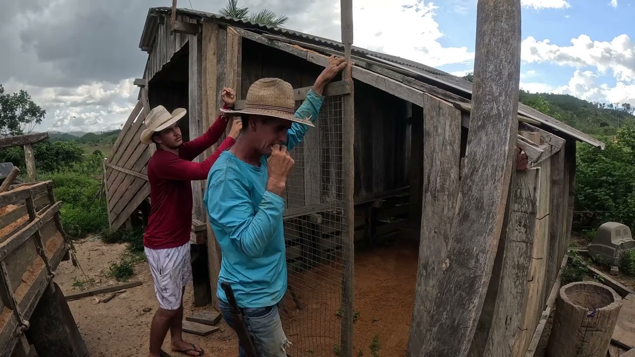 FINALIZAMOS A CASA DOS PINTINHO E SOLTAMOS ELES E FICARAM ALEGRI