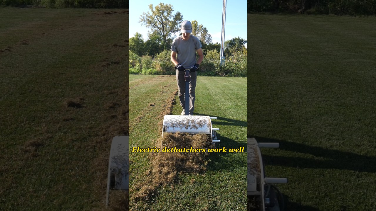 Looking For A Quick Lawn Fix??