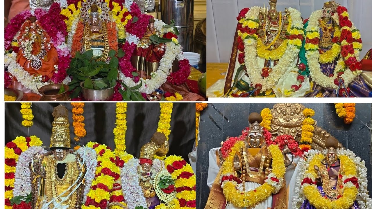 శివరాత్రి సందర్భంగా భద్రాచలంలోని పలు శివాలయాల్లో స్వామి అమ్మవార్ల వివాహ మహోత్సవ  కార్యక్రమాలు
