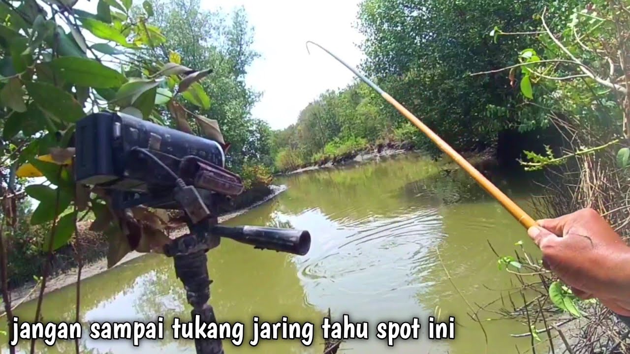 mancing bandeng liar di spot rahasia