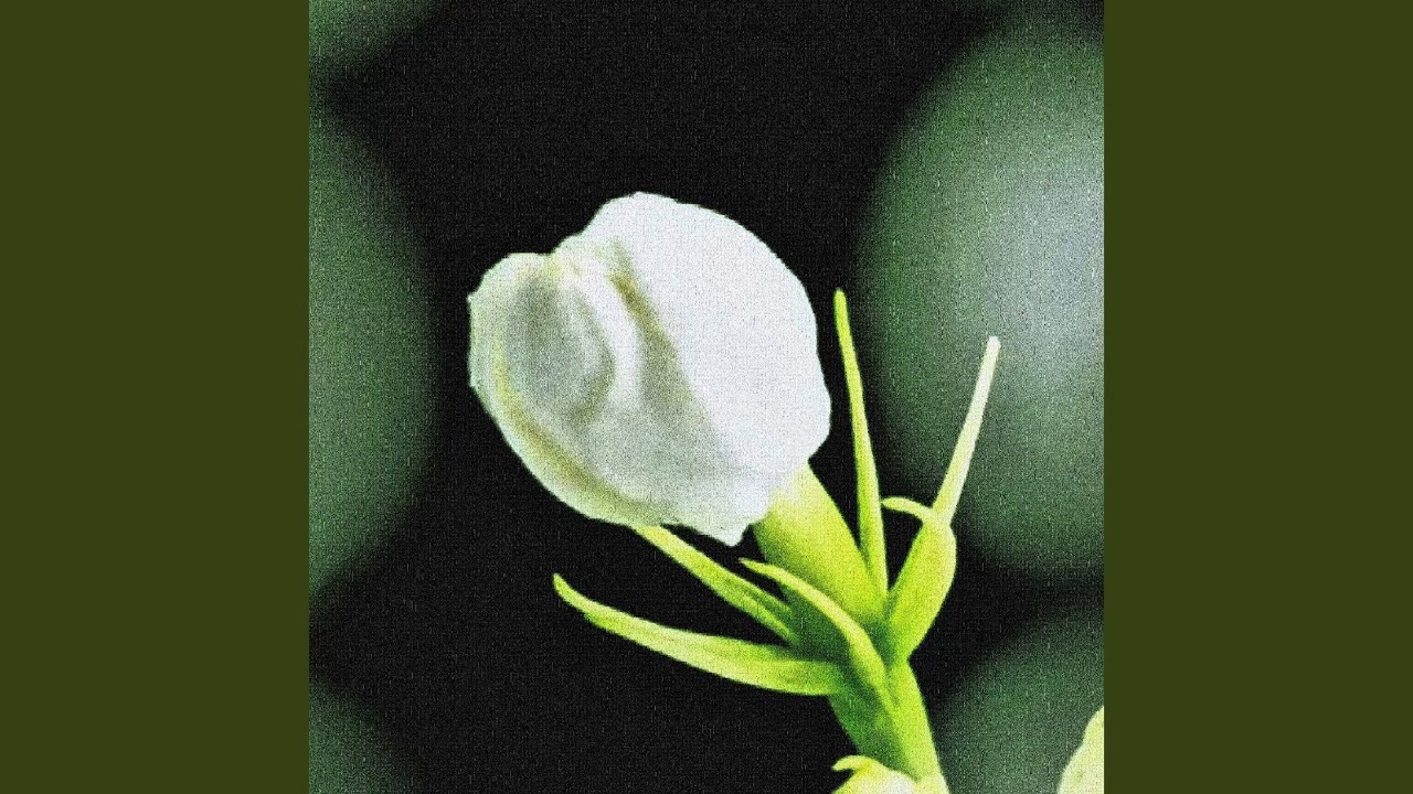 Something special