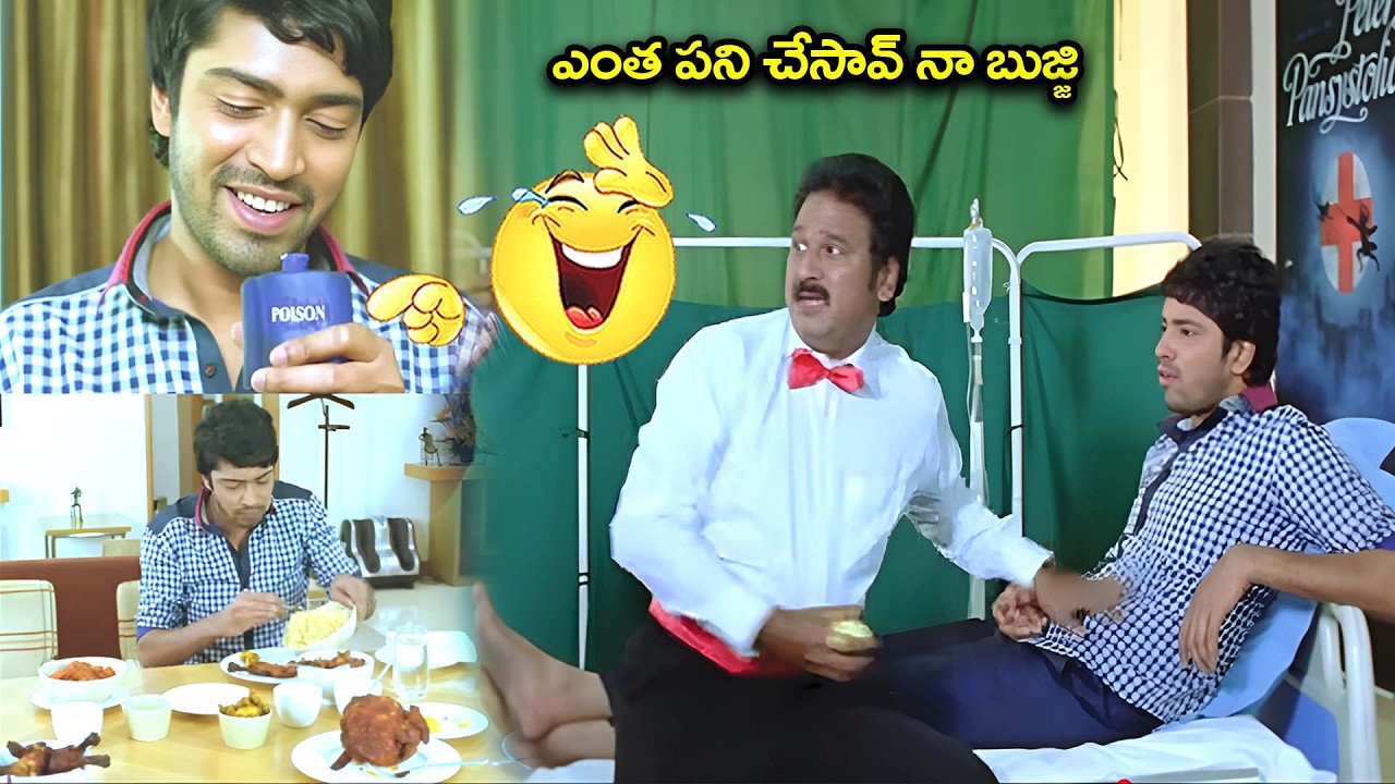 ఎంత పని చేసావ్ నా బుజ్జి | Allari Naresh Krishna Bhagavan Comedy Scenes Action 3D Movie Scenes