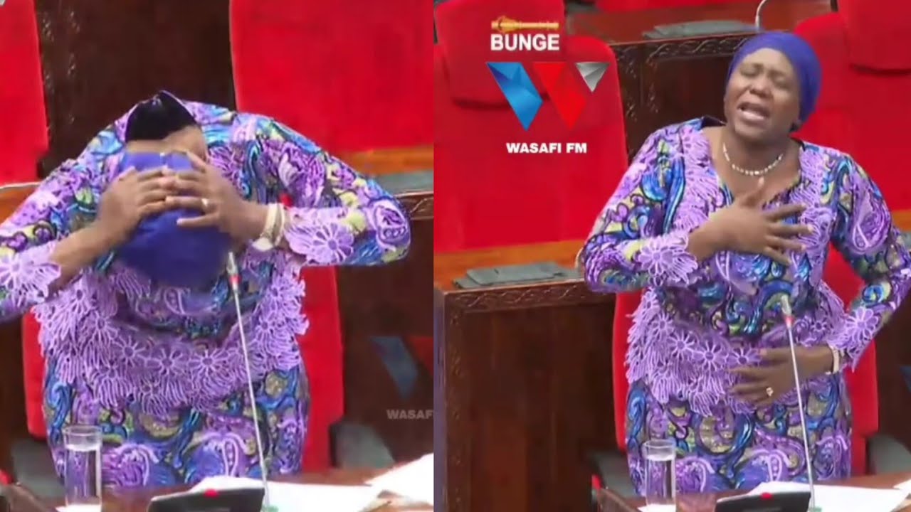 WAZIRI GWAJIMA AANGUA KILIO BUNGENI KILA USHOGA 