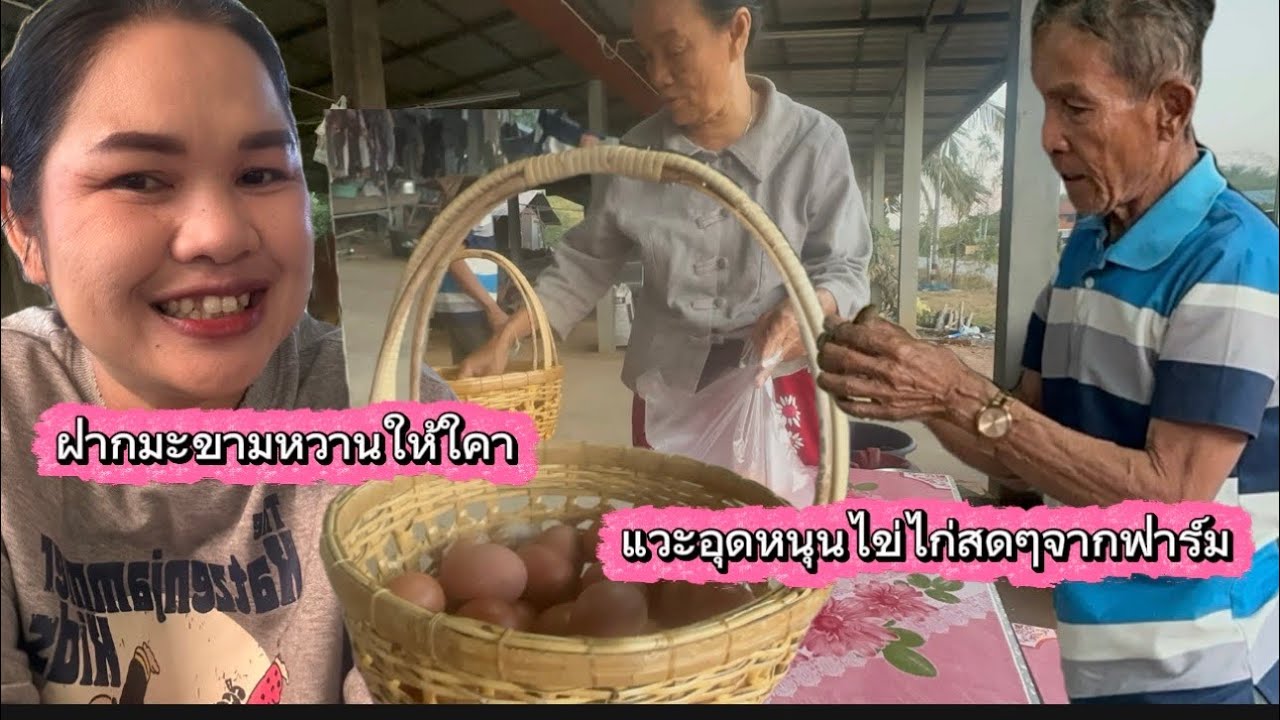 คุณพอลลี่นำสิ่งนีไปฝากใครที่จำปาดง!!คุณป้าแวะมาพอดี#ยูทูปกกกอก #ป้าแต้นชาแนล 