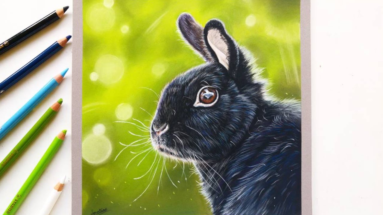 Drawing a realistic bunny rabbit with pastel pencils | Leontine van vliet