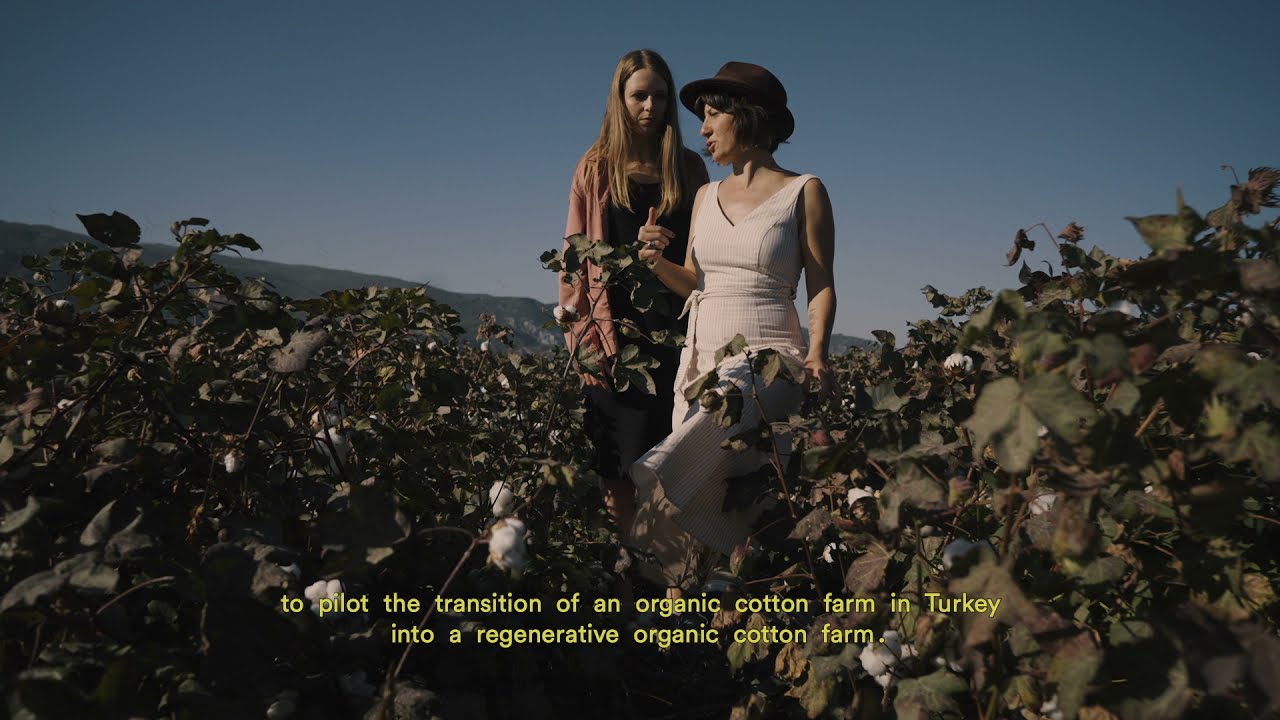 Regenerative Organic Cotton Pilot Project | Organic Basics x WWF