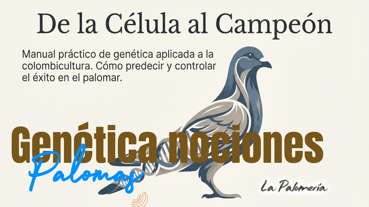 Nociones de Genética en Palomas