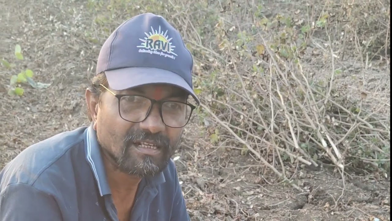 👍💐शून्य मशागत पद्धत माहिती मुळे शेतकऱ्यांचे कमी खर्चात भरघोस उत्पन्न #subscribe 