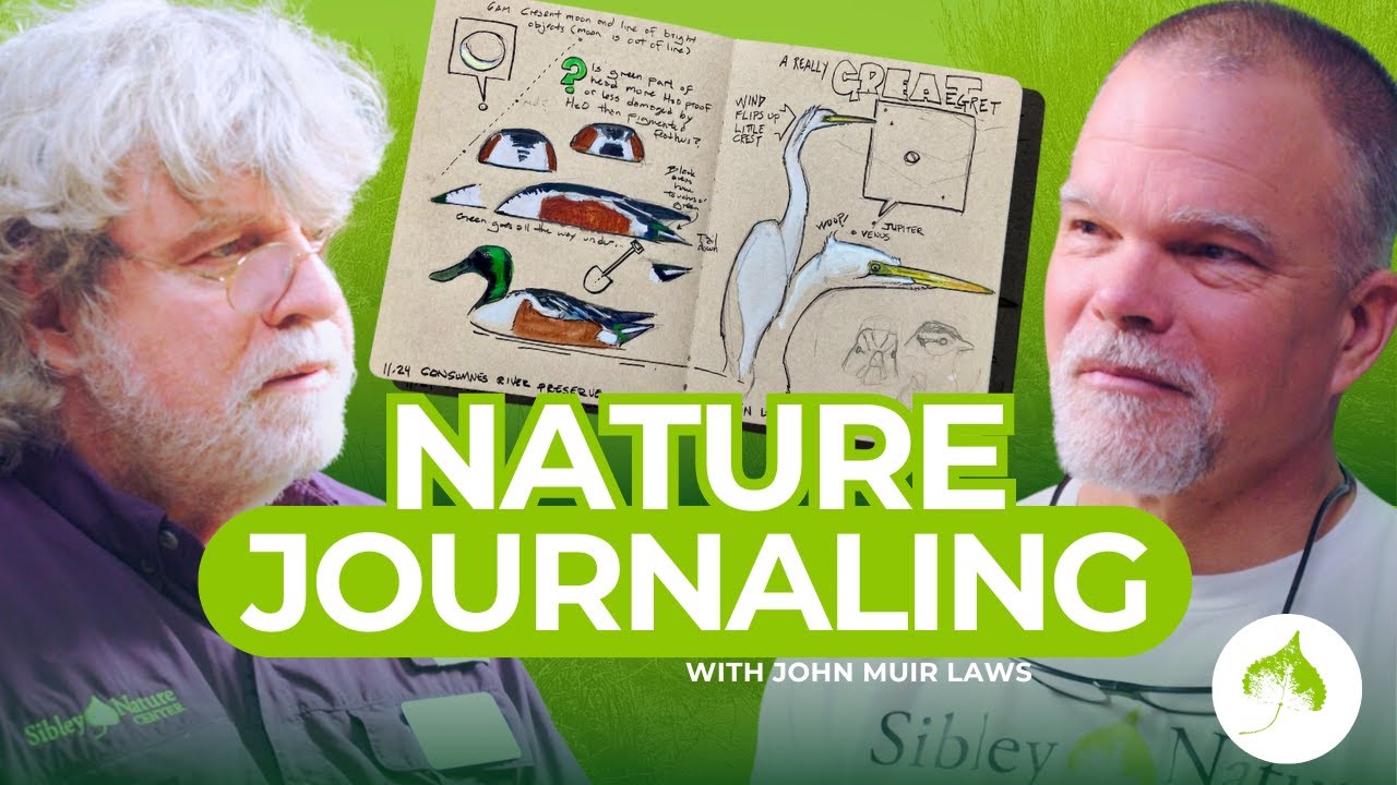 Nature Journaling Secrets with John Muir Laws