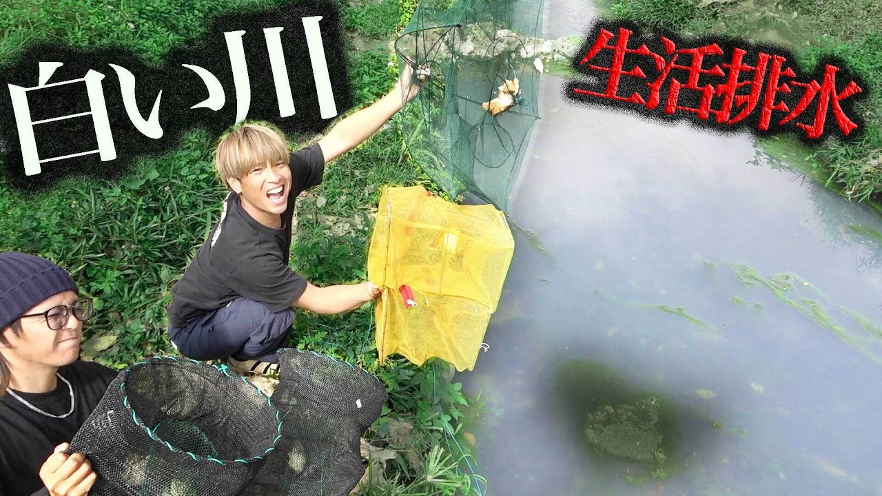 【汚水】生活排水の流れる『白い川』に　罠を大量に仕掛けたら・・・！？