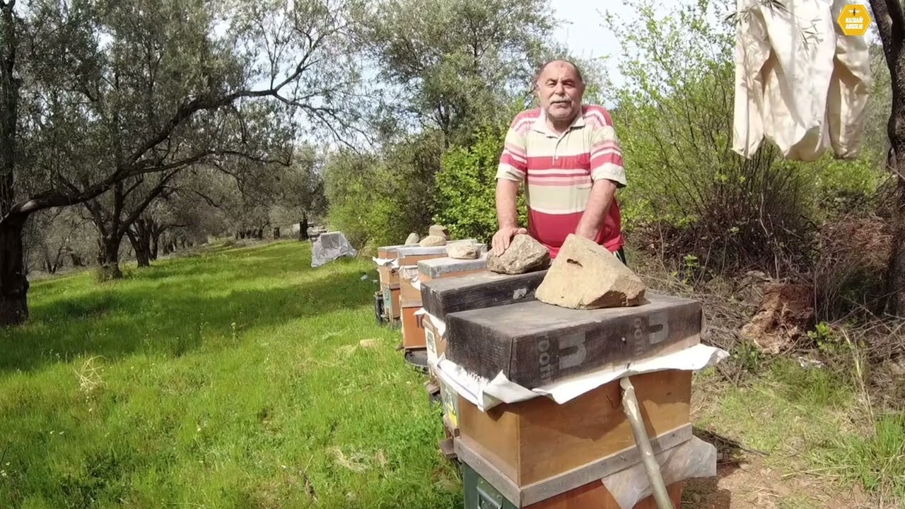 Arılar neden şerbet almaz