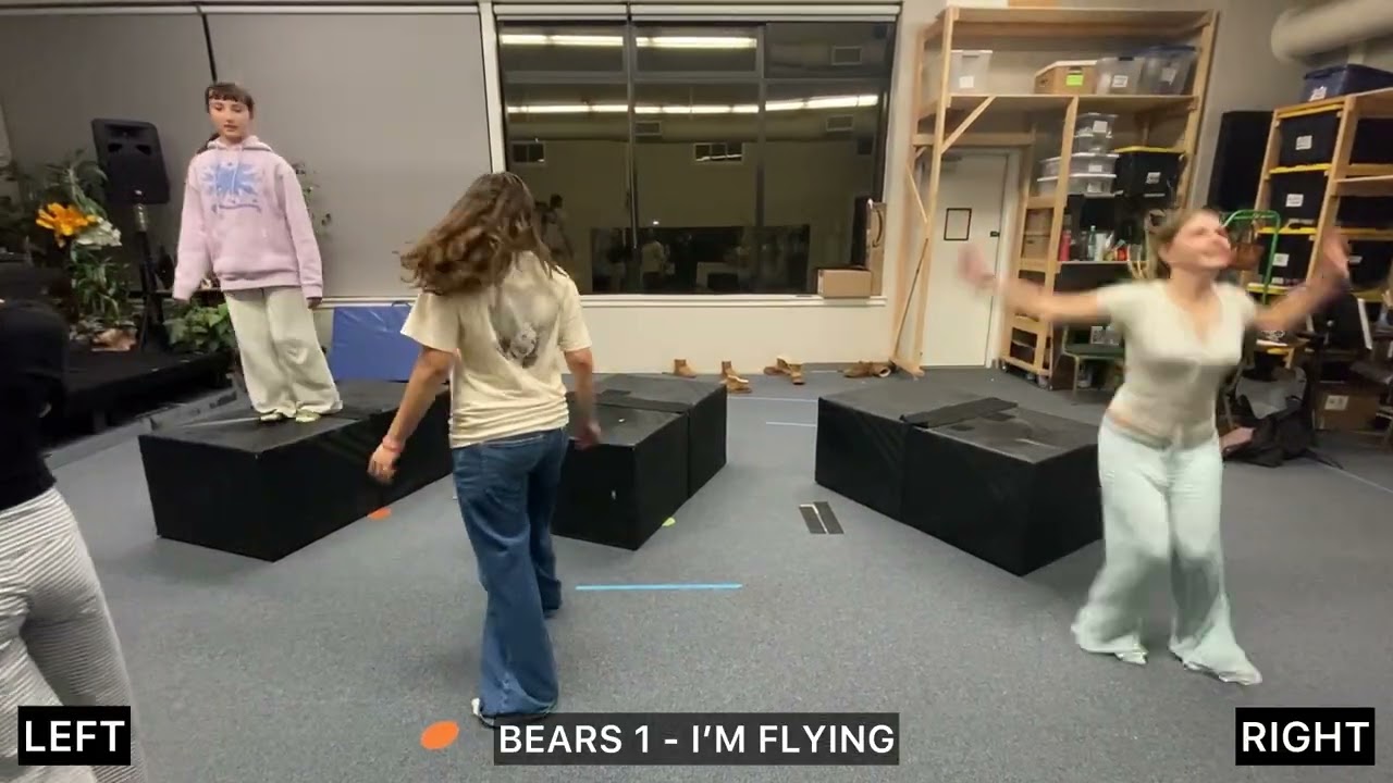 Bears 1 • I'm Flying