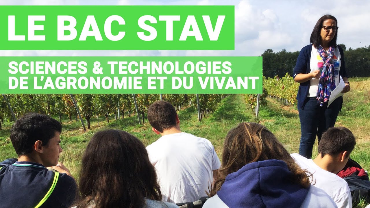 LE BAC STAV : SCIENCES ET TECHNOLOGIES DE L'AGRONOMIE ET DU VIVANT