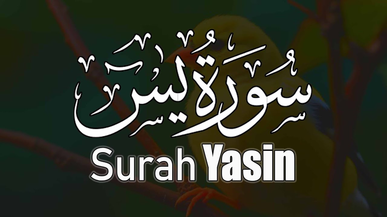قران کریم سوره الرحمن همراه با ترجمه فارسی | بهاری قرآن - Bahari Quran 