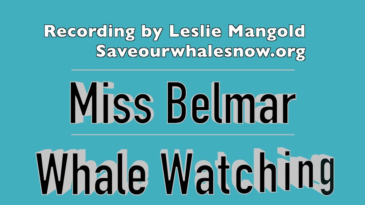 Whale Watching on the Miss Belmar