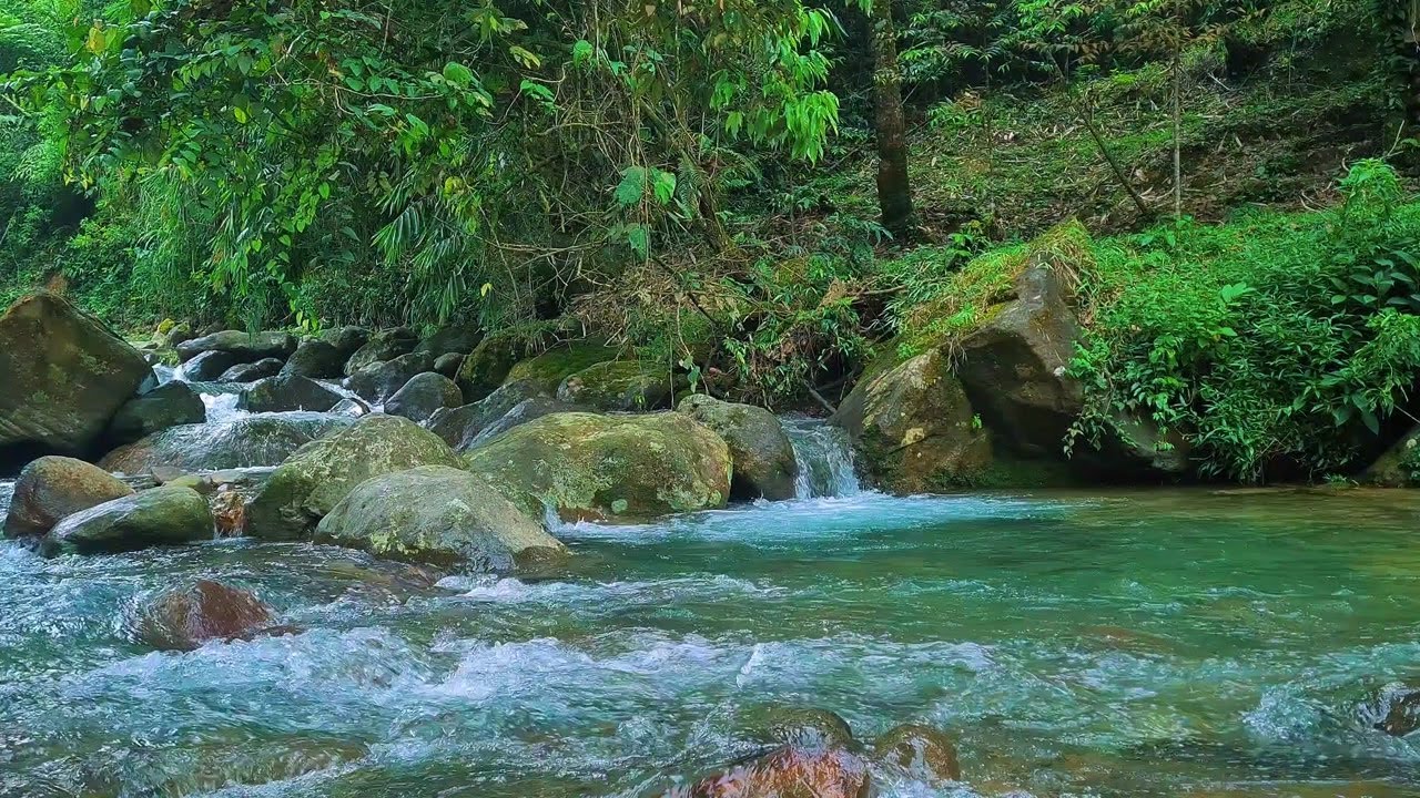 River Sounds Under the Moon – Relaxing Water Flow to Ease Stress and Improve Sleep