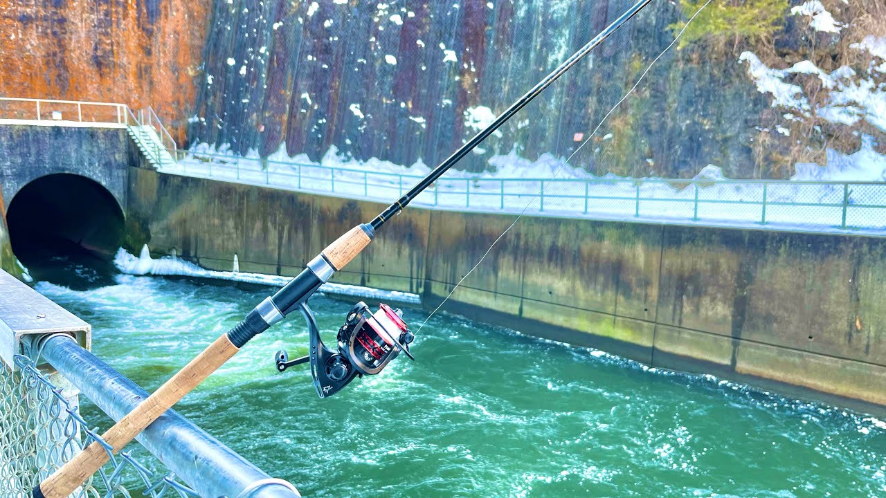 Fishing A Cold Spillway In The DEAD OF WINTER!! (Bank Fishing)