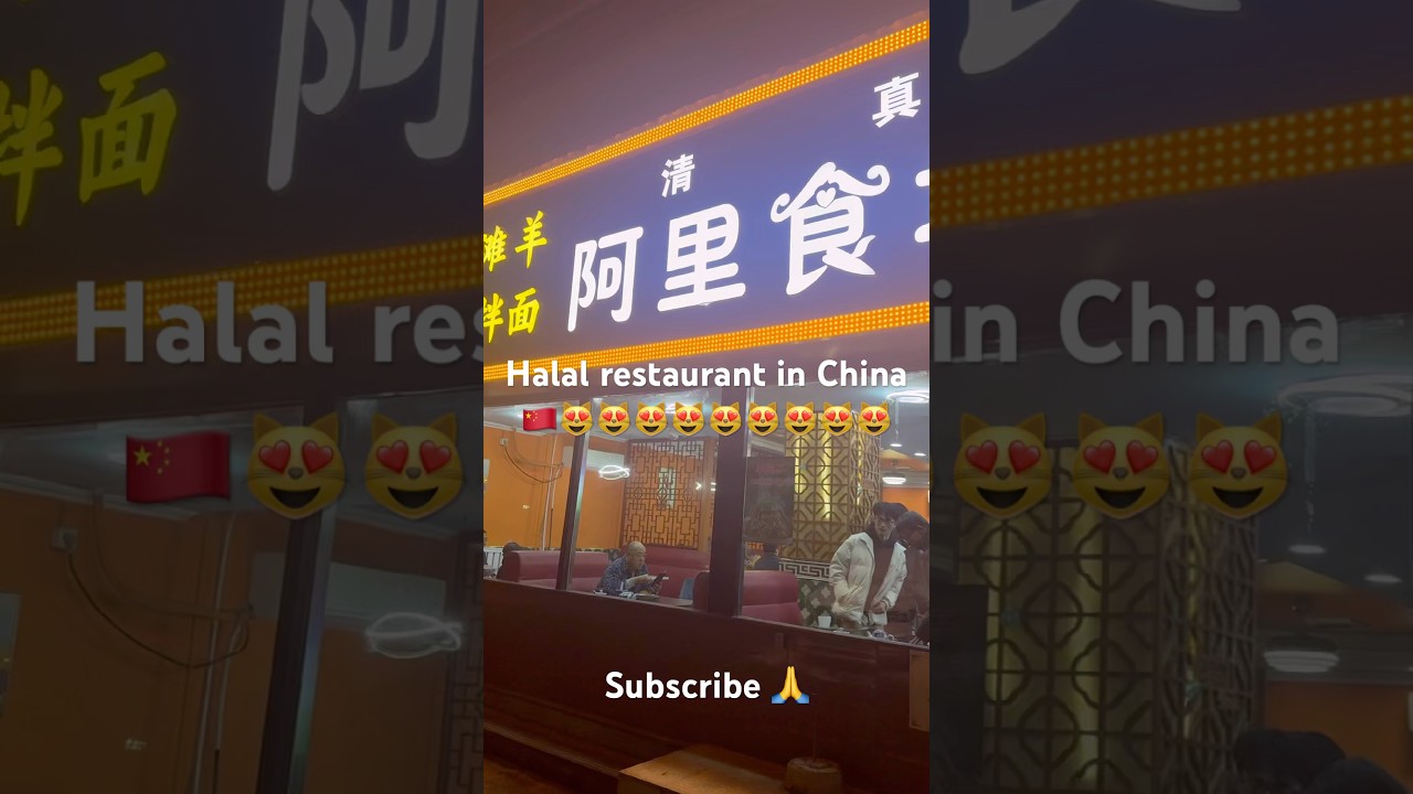Best Chinese Halal Food in Town 🇨🇳☪️ | Must-Try Muslim-Friendly Dishes!