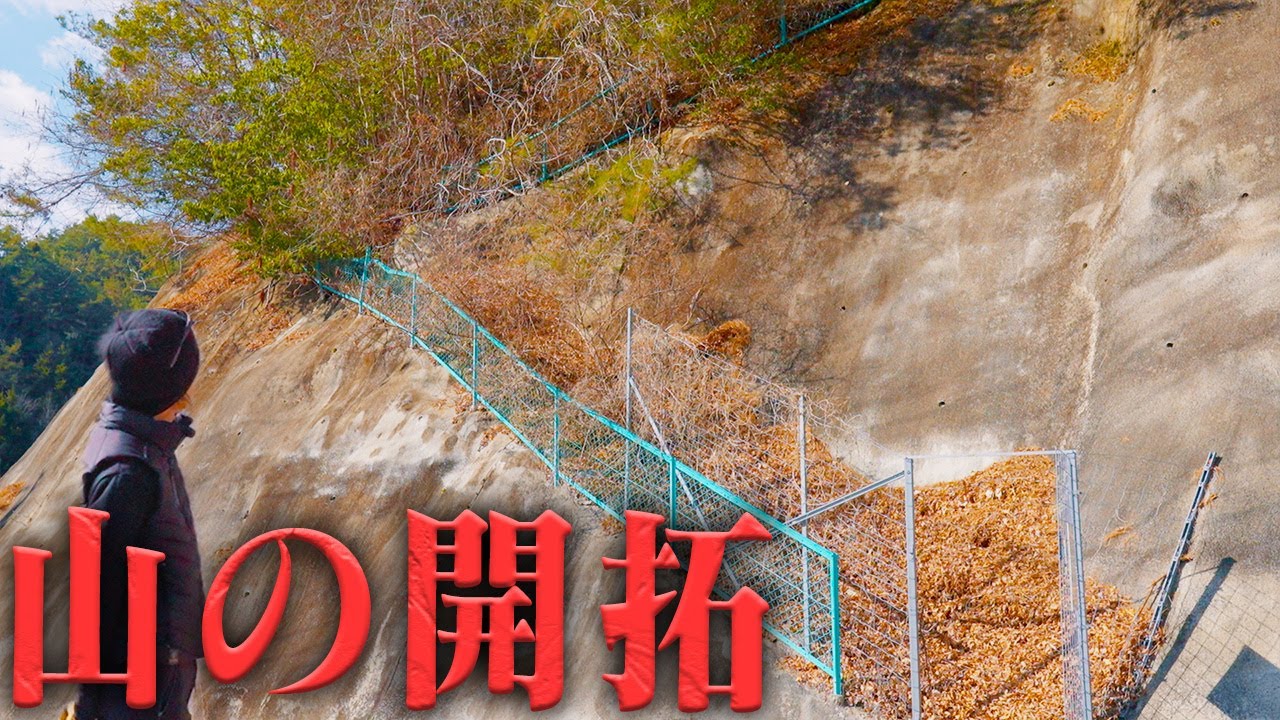 【倒木】超危険‼️こんなの誰もやりたくない…0から山の開拓スタート‼️ #713