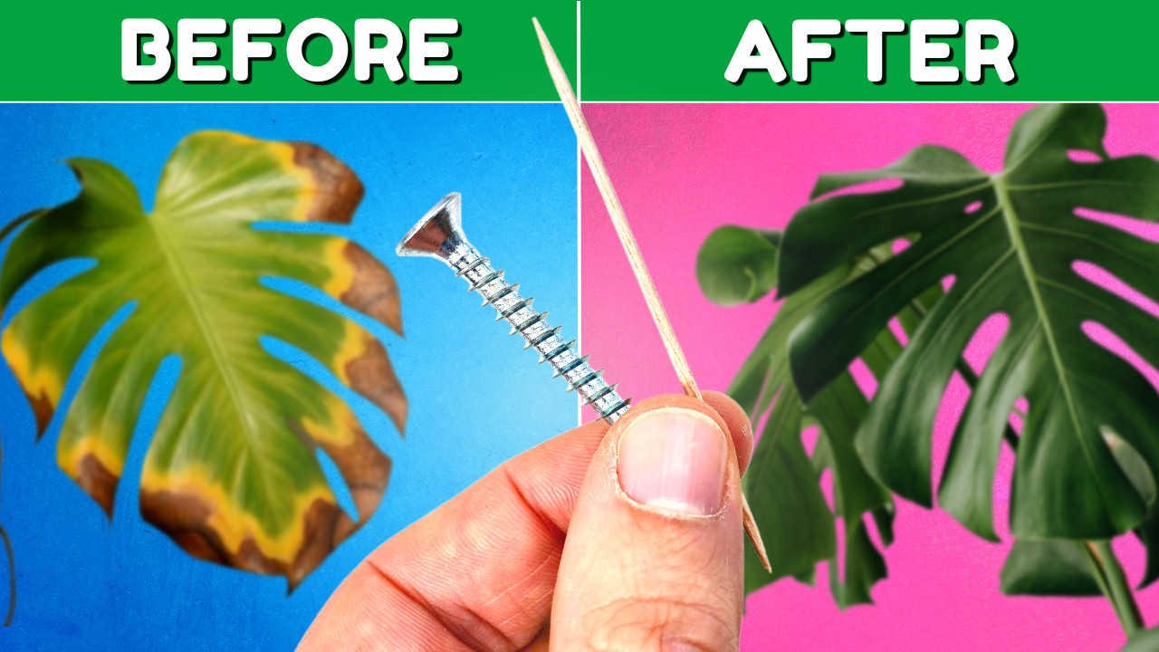 10 GENIUS Plant Hacks That'll Blow Your Mind