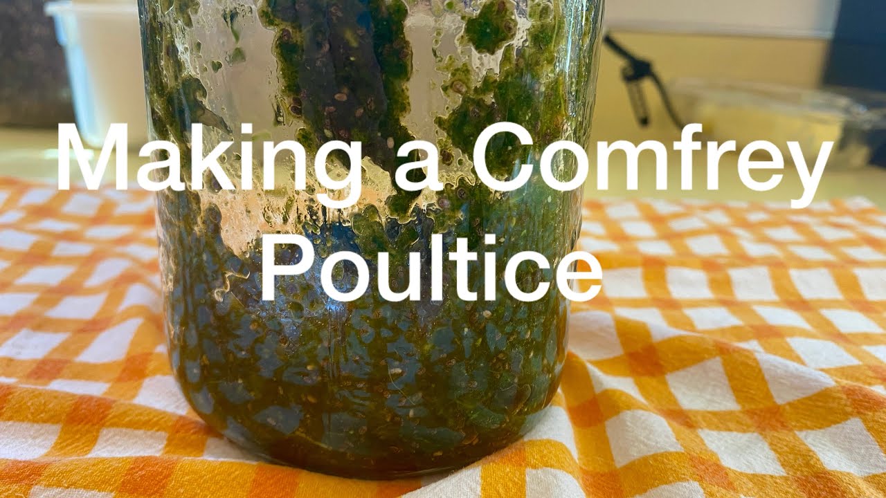 How to make a Comfrey Poultice 