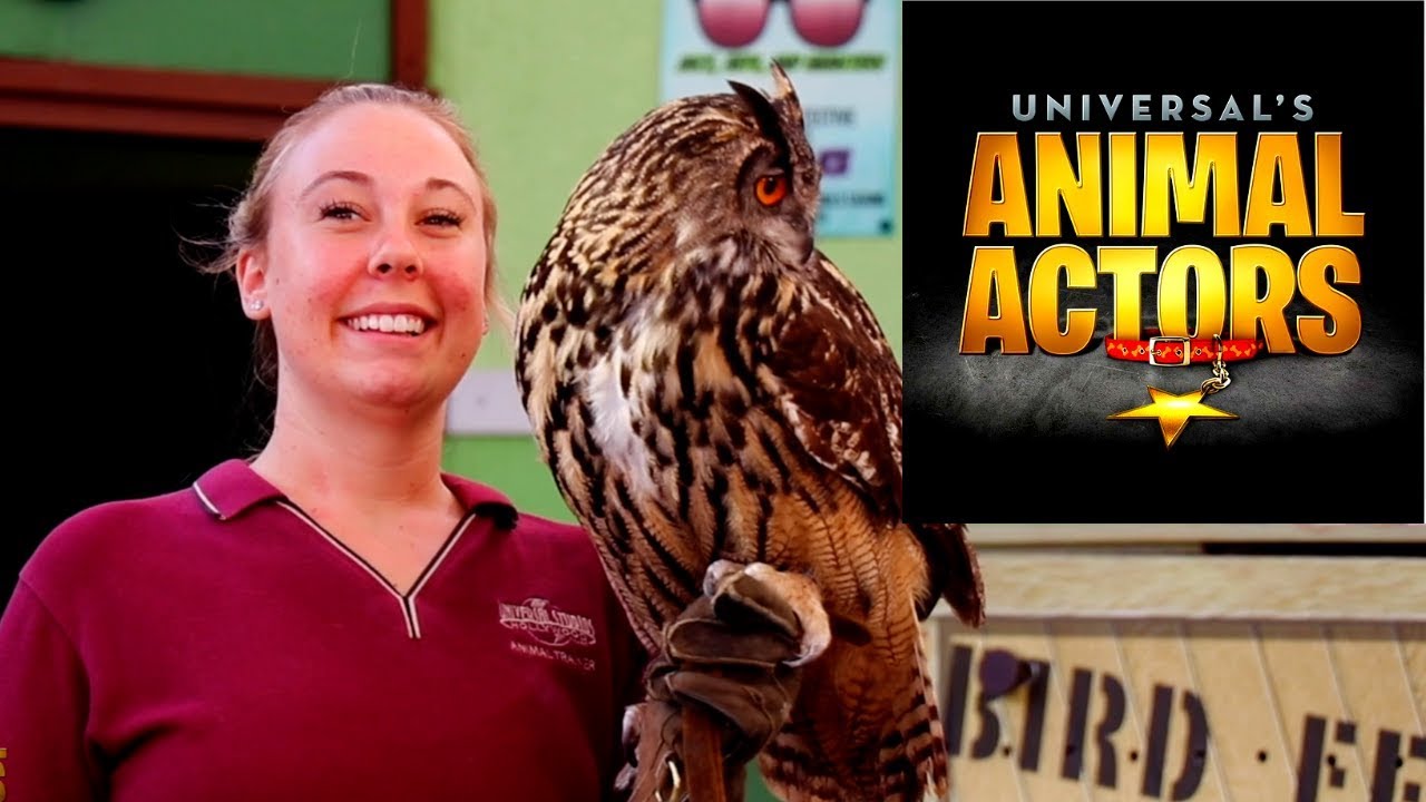 Animal Actors - Universal Studios - Hollywood