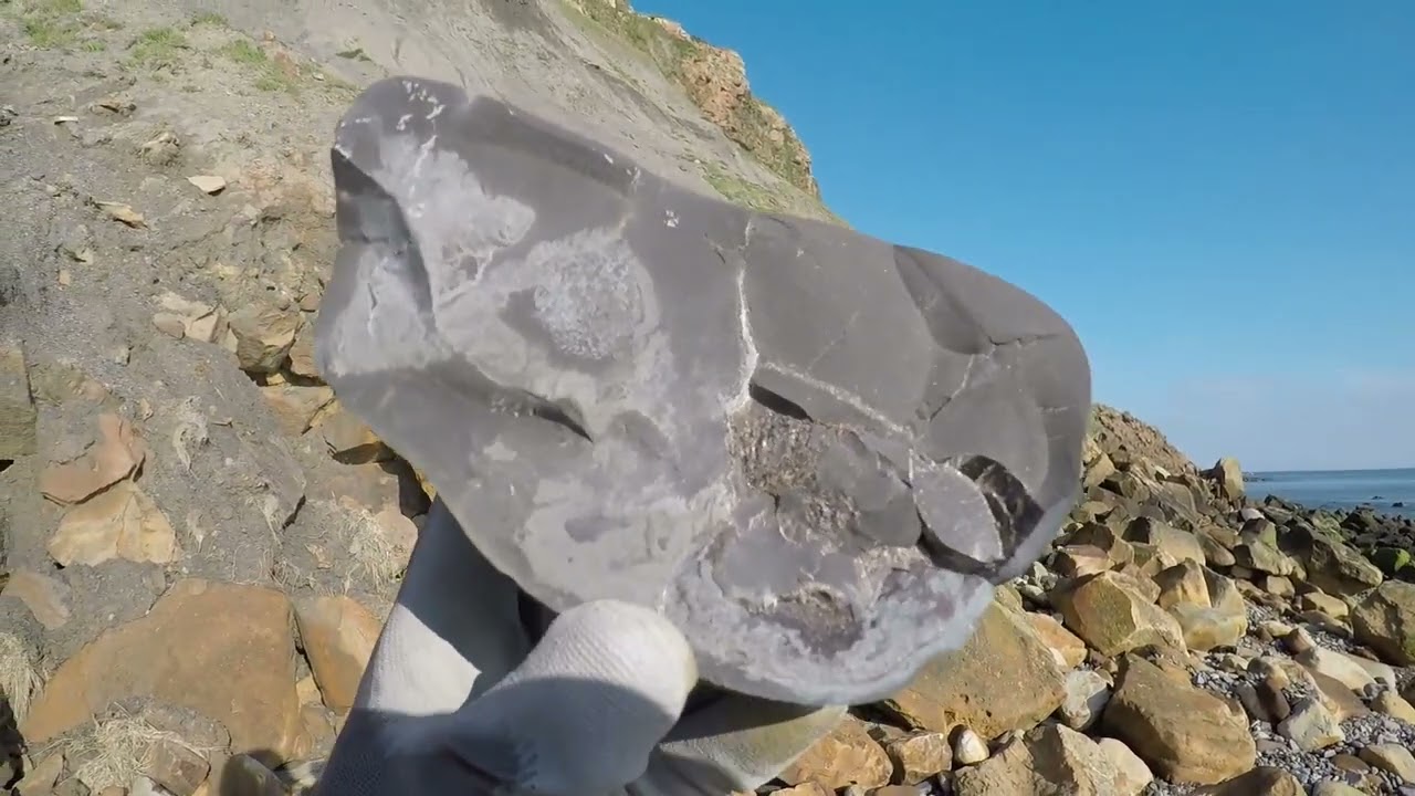 Fossil Collecting at Runswick Bay To Port Mulgrave #fossils #ammonites