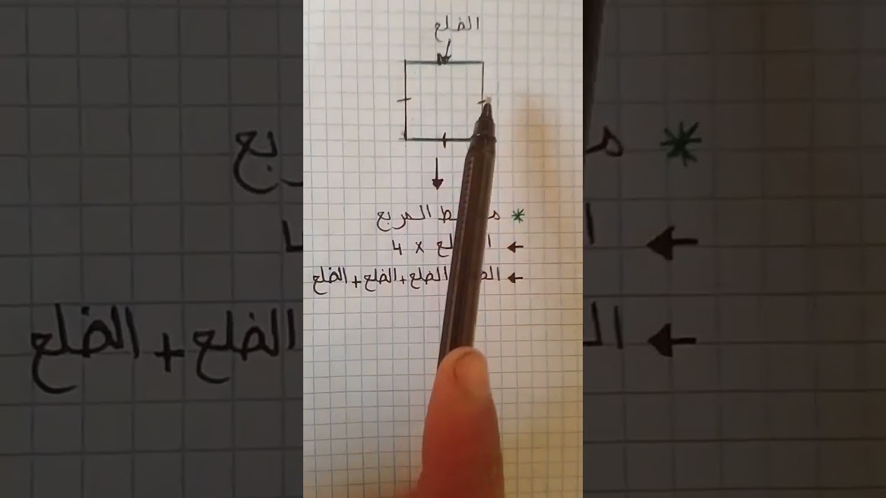 محيط المربع 🤔