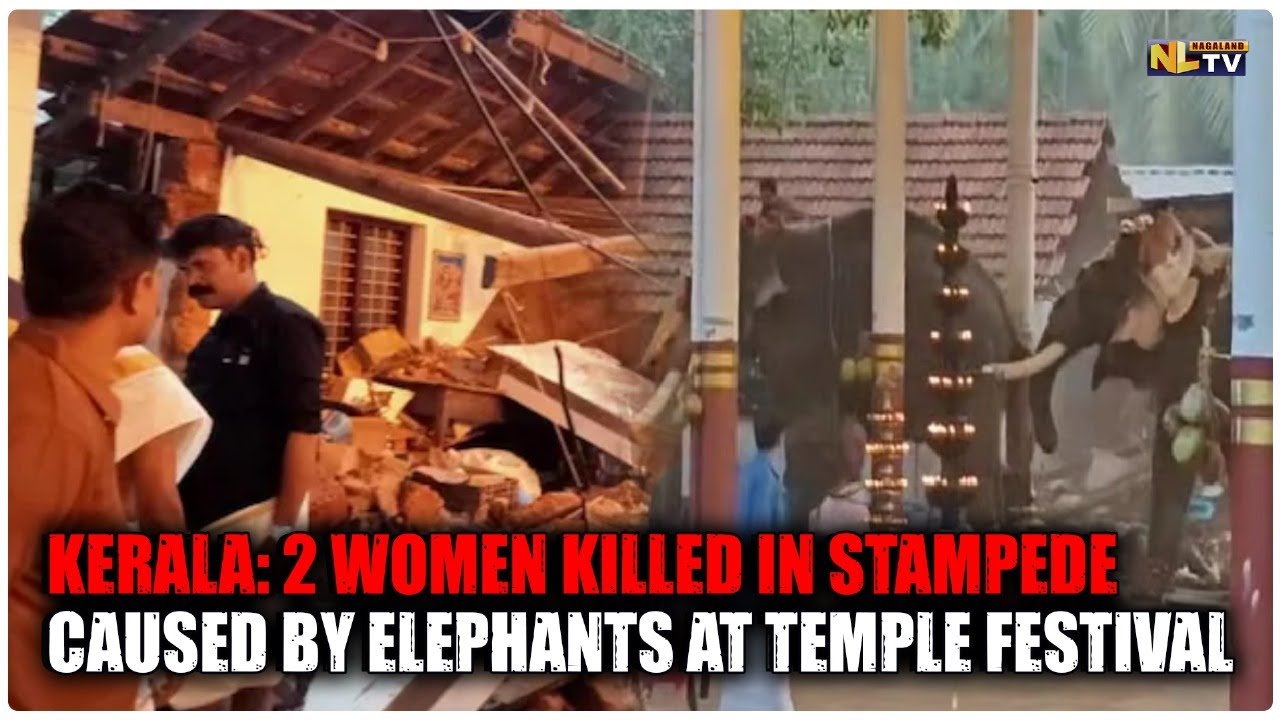 KERALA: 2 WOMEN KILLED IN STAMPEDE CAUSED BY ELEPHANTS AT TEMPLE FESTIVAL