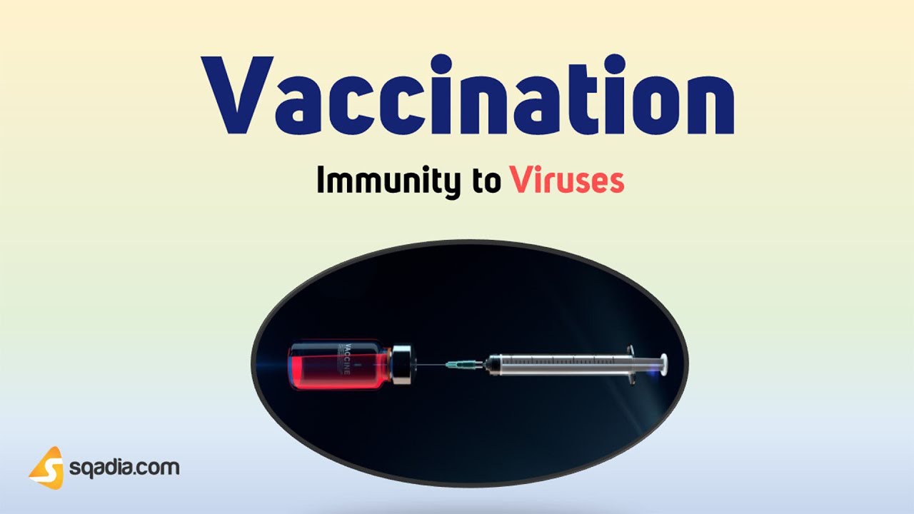 Immunity to Viruses - Vaccination