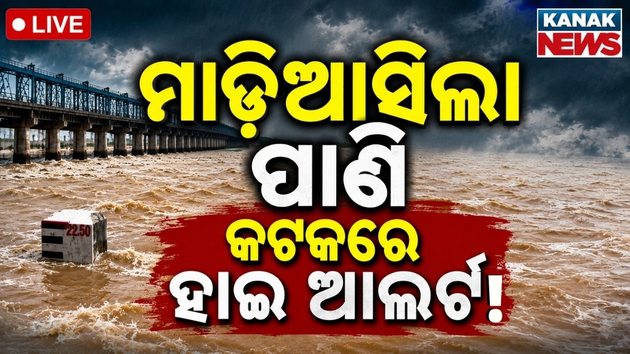 🔴LIVE ମହାନଦୀରେ ମାଡ଼ି ଆସିଲା ପାଣି Mahanadi Flood Alert | Flood News | Flood Alert In Odisha | Mundali