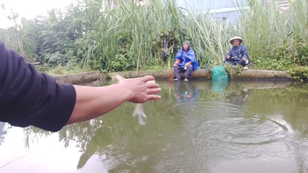 masih di mancing borongan harga 1jt