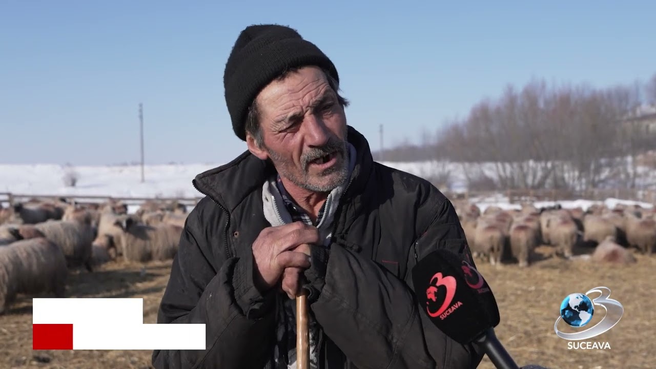 Viața la stână, dincolo de ger