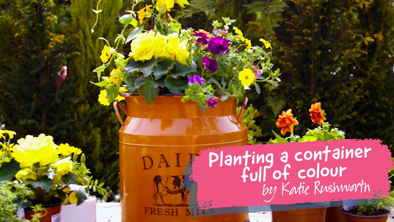 Planting a Container full of Colour with Katie Rushworth