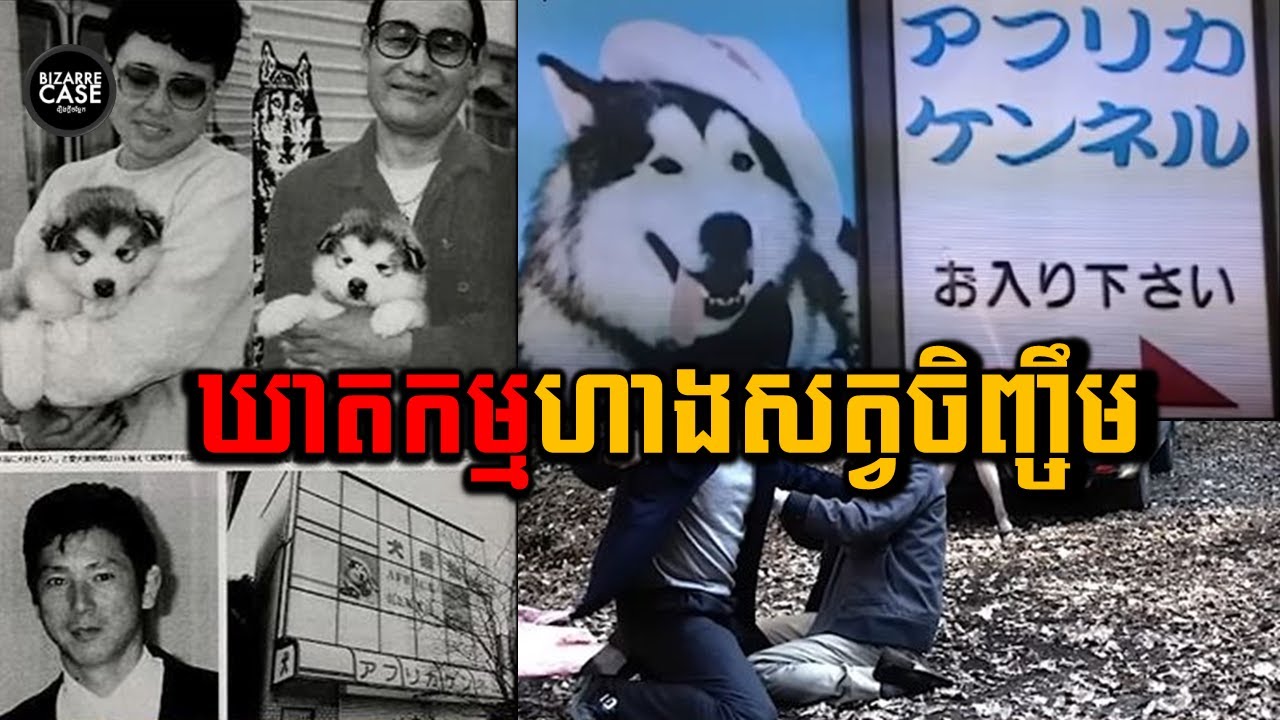 ឃាតកម្មហាងលក់សត្វចិញ្ចឹមដោយមានអតិថិជនបាត់ខ្លួនជាច្រើននាក់