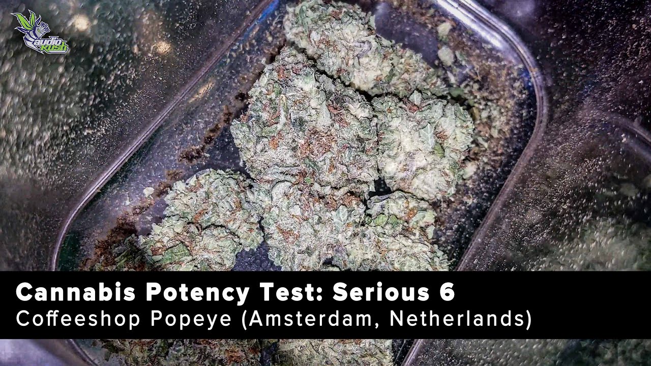 Purpl Pro Cannabis Potency Analysis: Serious 6 at Popeye Coffeeshop (Amsterdam)