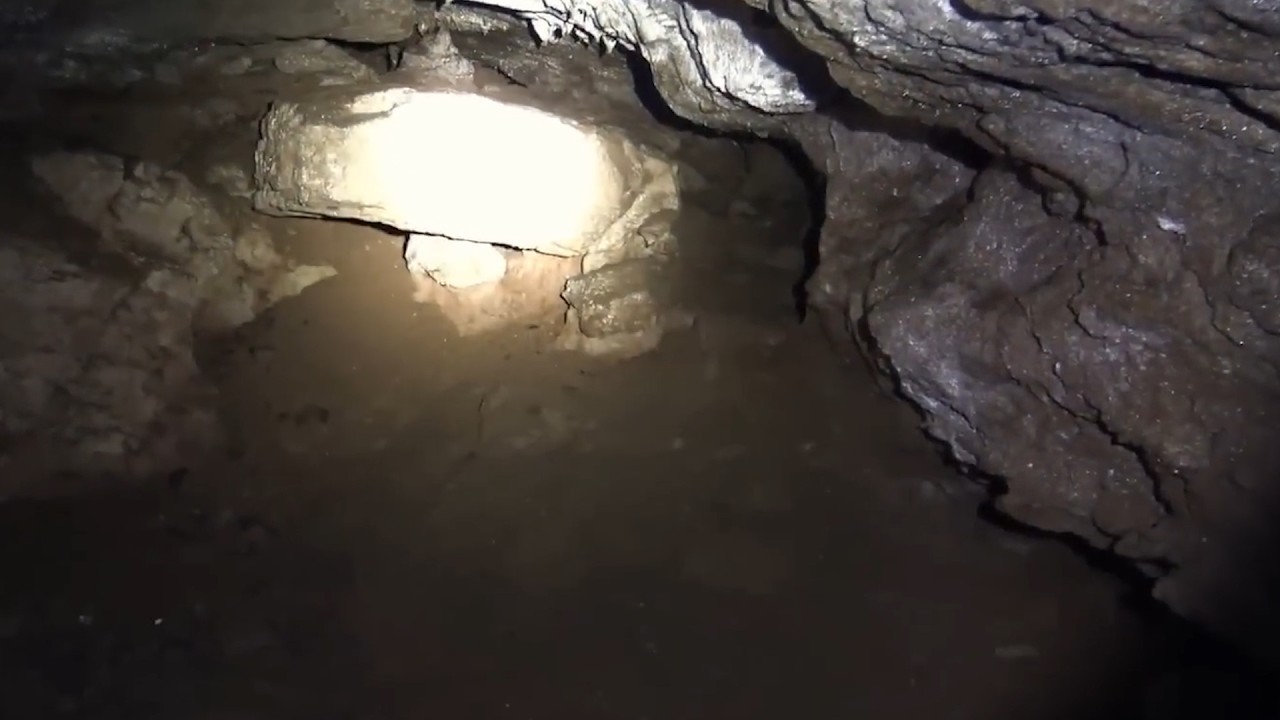 6 Gruselige Videos Von Campern