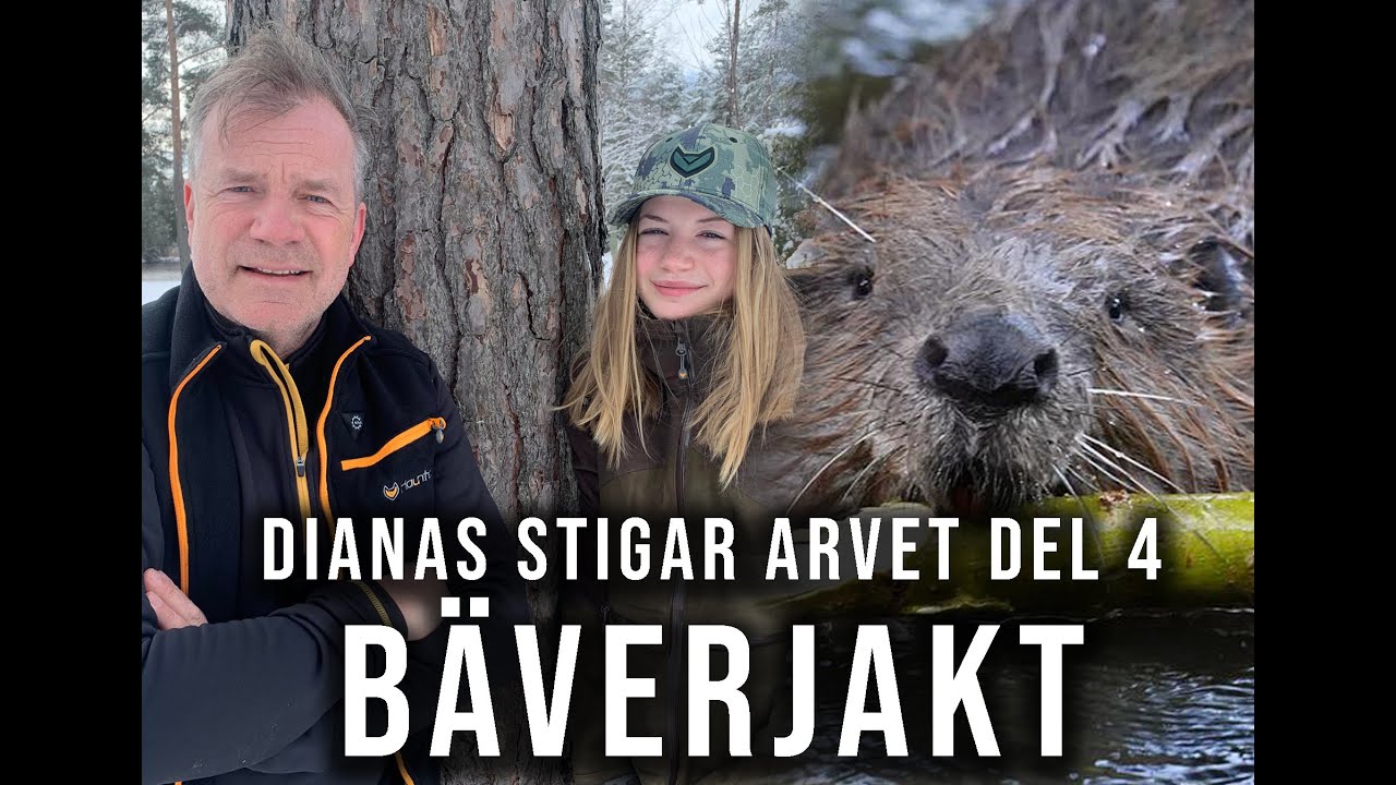 Dianas Stigar Arvet del 4 - Bäverjakt