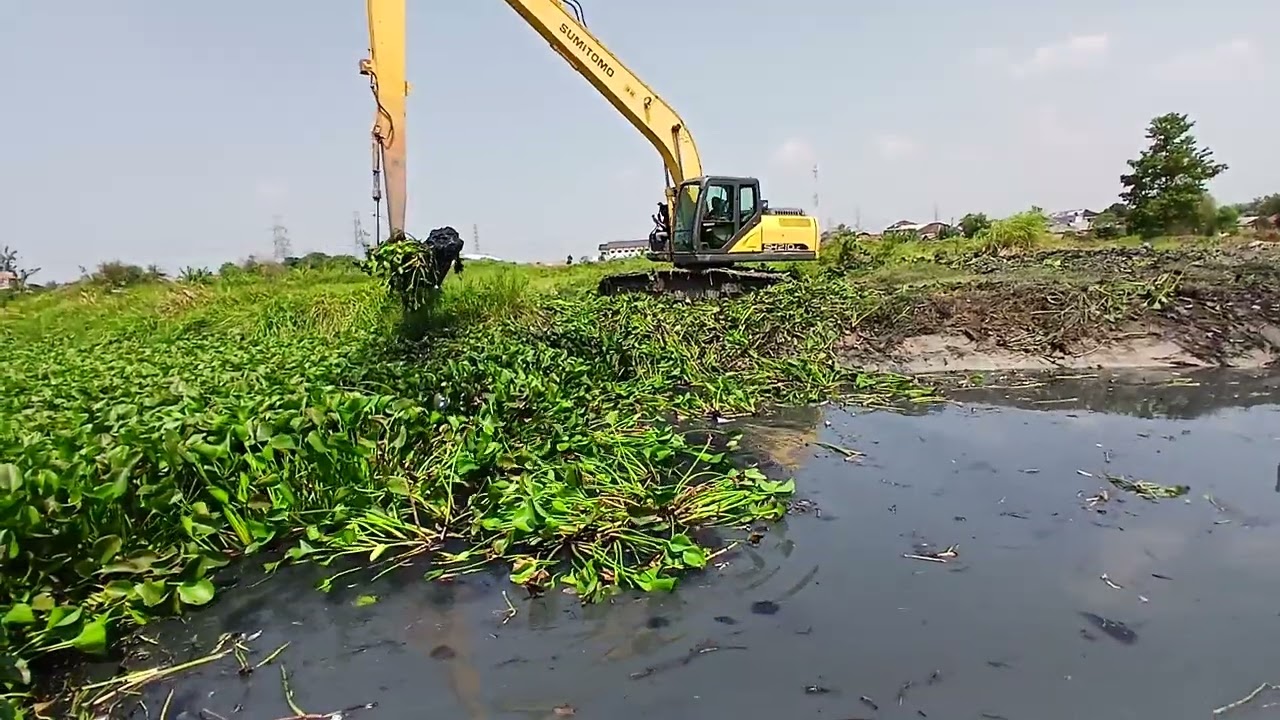 Регент Бекаси посылает экскаватор! Море водяного гиацинта и светящаяся чёрная грязь в Кали-Улу уг...