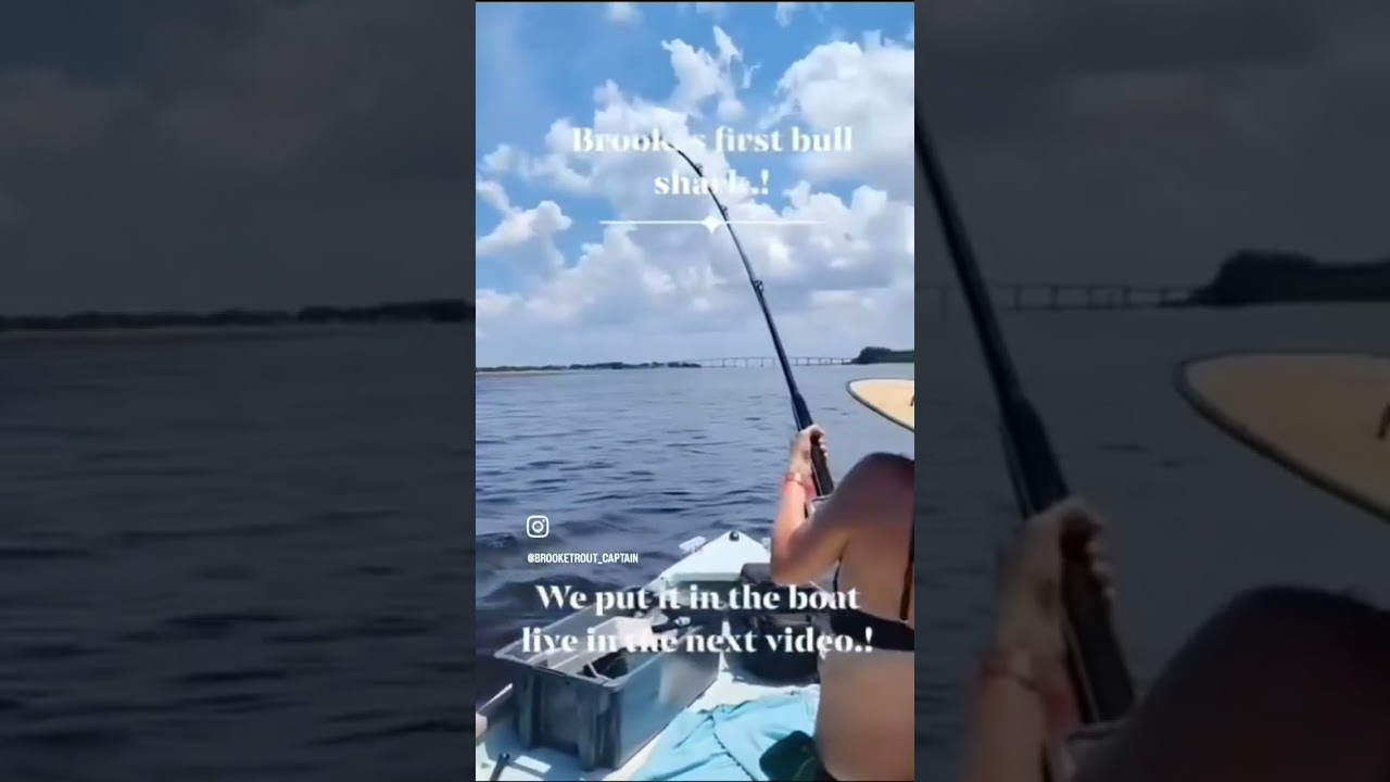 Catching a bull shark under a bridge. 
