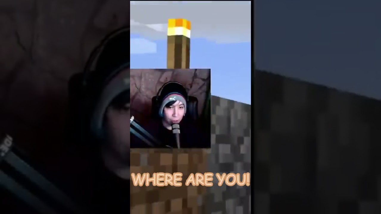 Technoblade JUMPSCARED Quackity and KarlJacobs on dream smp minecraft