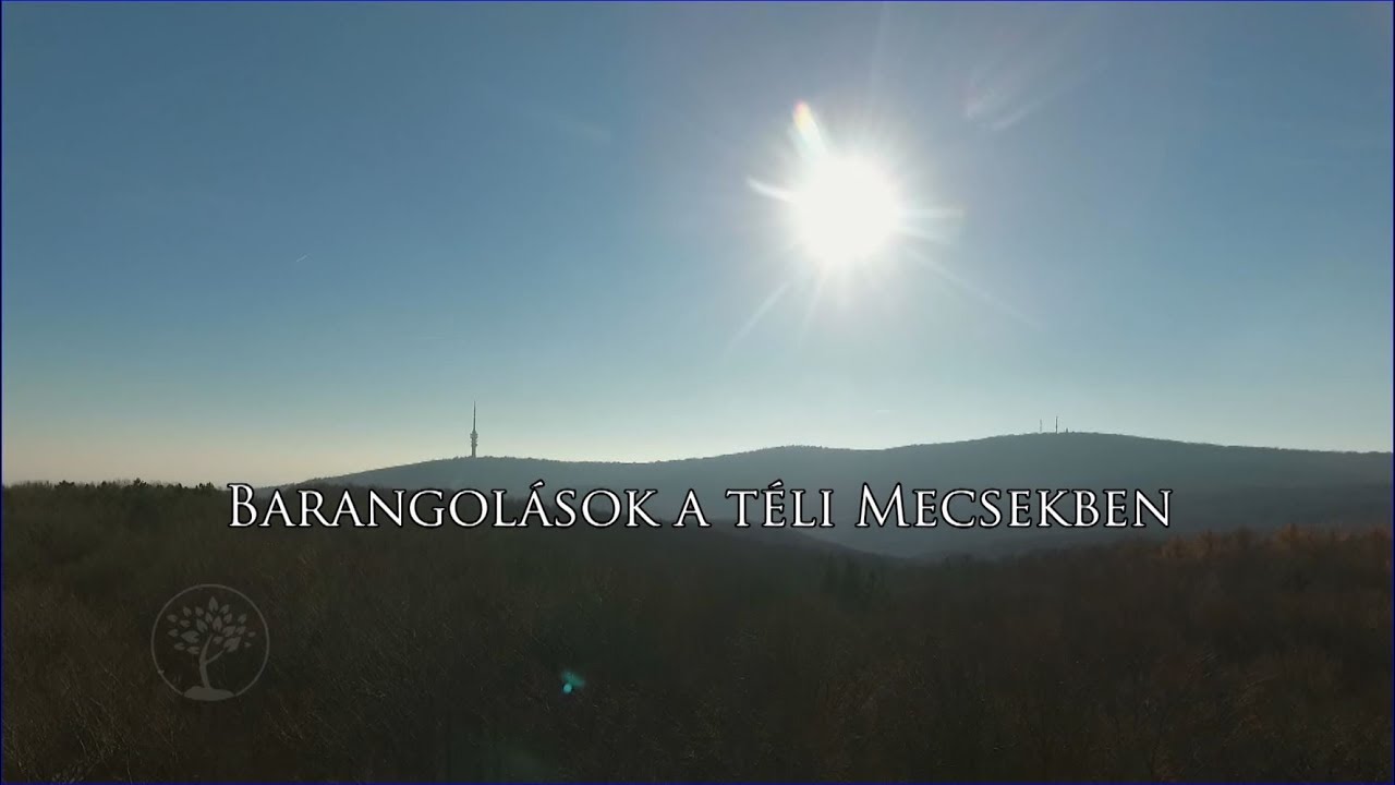 Reviczkyvel az Erdőben - Barangolások a téli Mecsekben - 2017 - 1/12