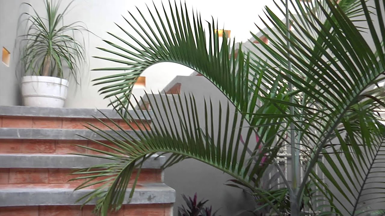 Casa Tolok