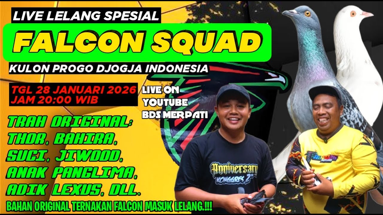 LELANG MERPATI TEAM FALCON SQUAD JOGJA//BDS MERPATI//LIVE LELANG