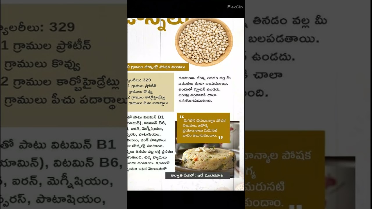జొన్నలు 1959 #sorghum #jonnalu #health # #shorts