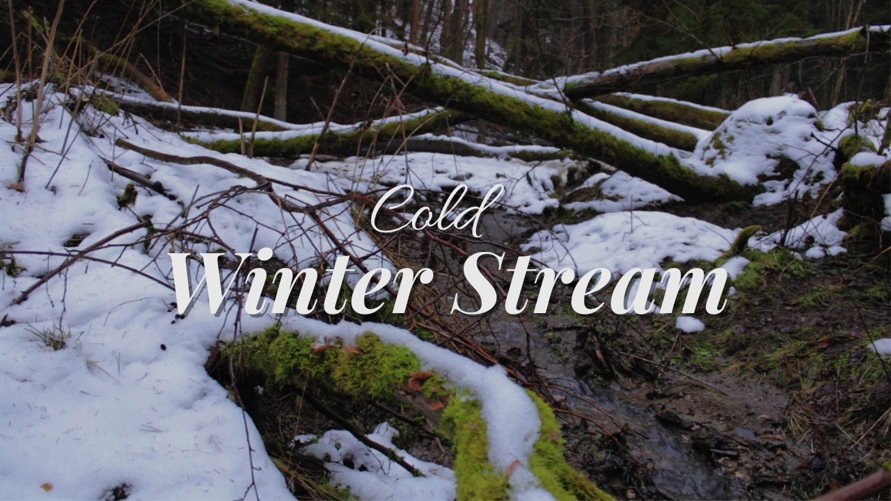 Winter Stream in Falling Snow | Water Sounds