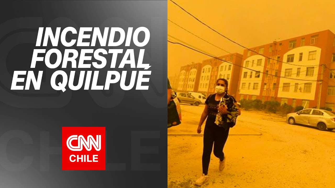 Incendio forestal en Quilpué: Onemi ordenó la evacuación de las viviendas del sector