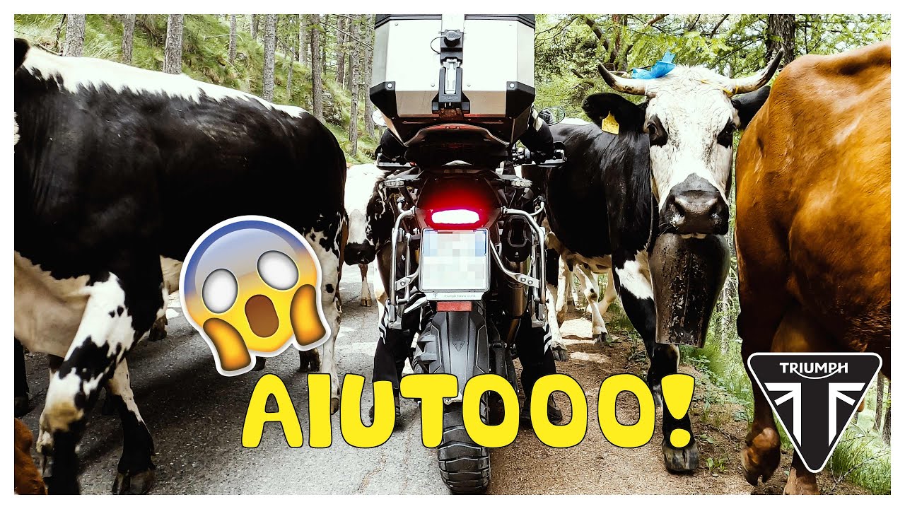 Sterrato, paura e meraviglia: la nostra avventura sul Colle delle Finestre