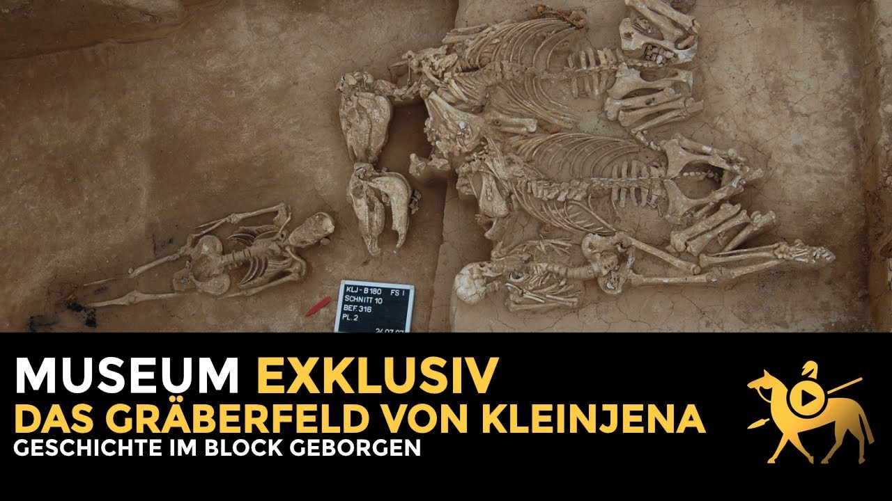 Geschichte im Block geborgen: das Gräberfeld von Kleinjena | Museum exklusiv