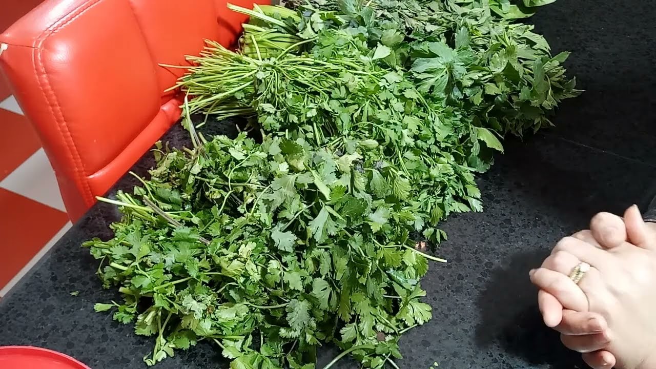 طريقتي بلإحتفاظ بالدبشة  🌱والمعدنوس🌱 ولكرافس لمدة طويلة في ثلاجة تعرفو عليها 👍